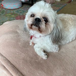 Meet your Posher, Constance